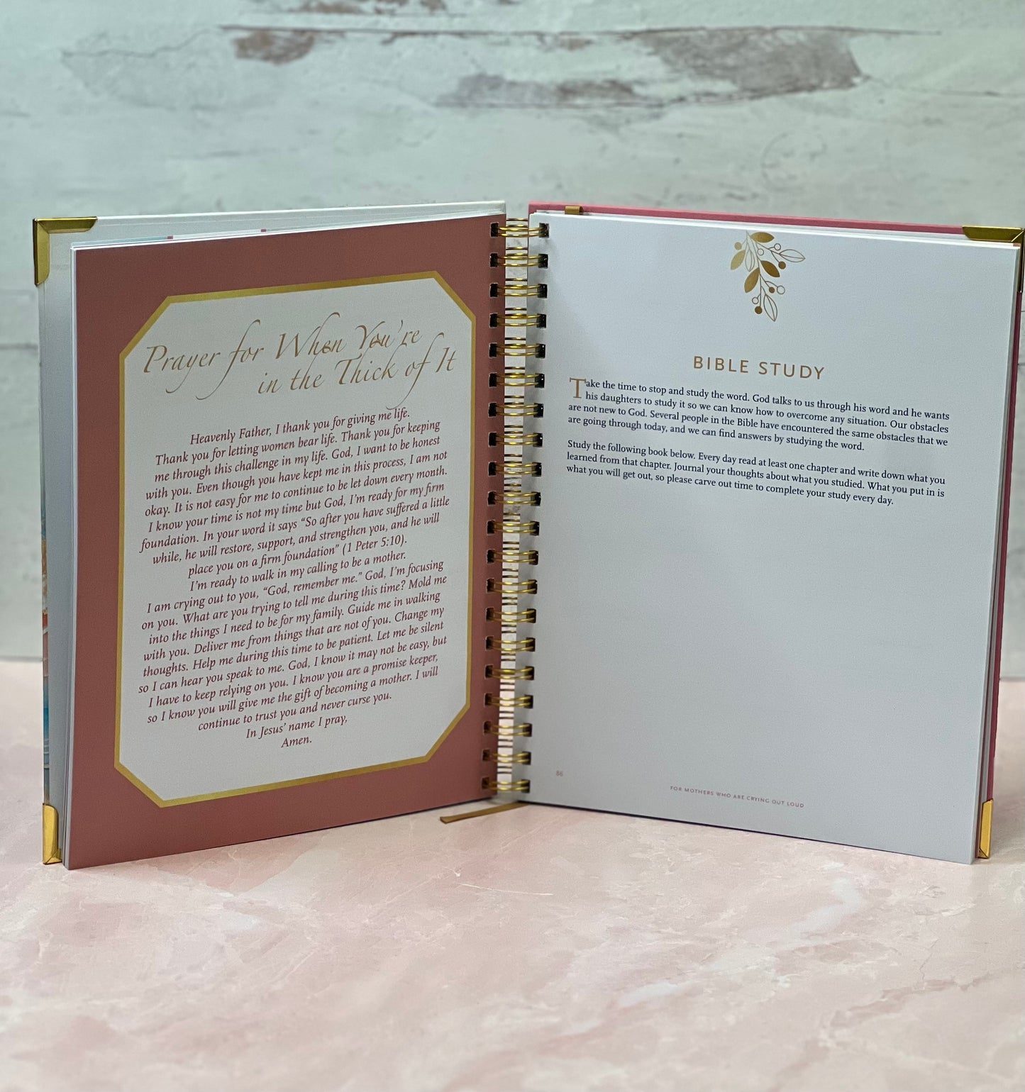 For Mothers Who Are Crying Out Loud Book and Workbook